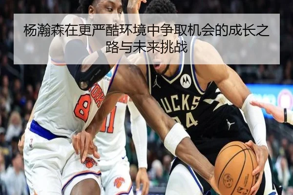 杨瀚森在更严酷环境中争取机会的成长之路与未来挑战